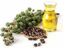 Load image into Gallery viewer, Hydrating Botanical Oil