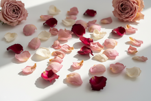 Load image into Gallery viewer, Rose Water, Hibiscus & Clove- Nature's Hydration