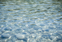 Load image into Gallery viewer, Rose Water, Hibiscus & Clove- Nature's Hydration